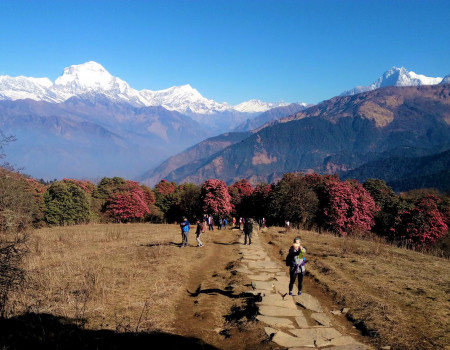 Annapurna region