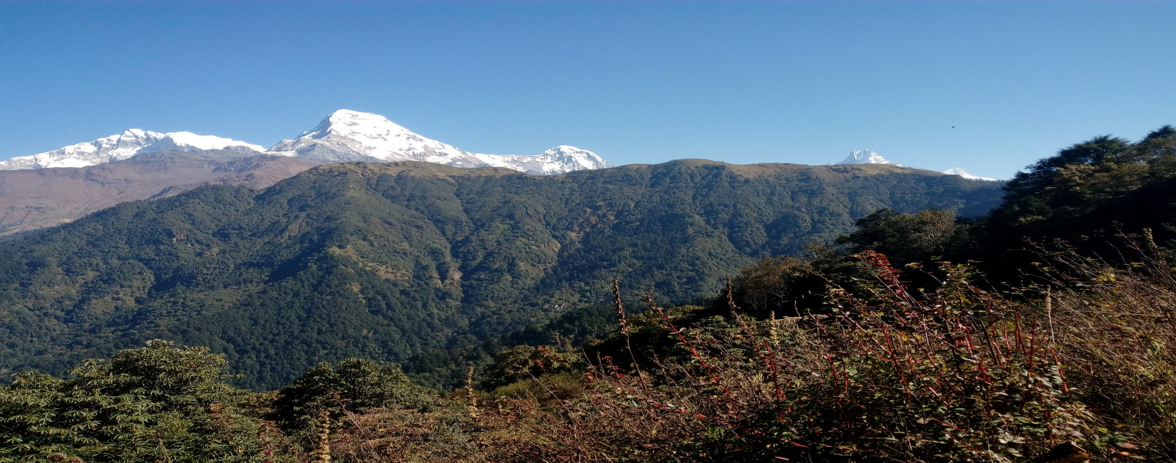 Ghorepani Poon Hill Trek