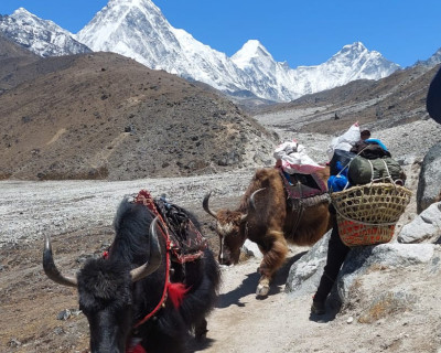 Everest Base camp Chopper trek