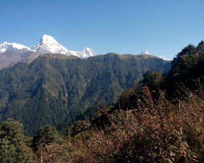 Ghorepani Pooh Hill Trek